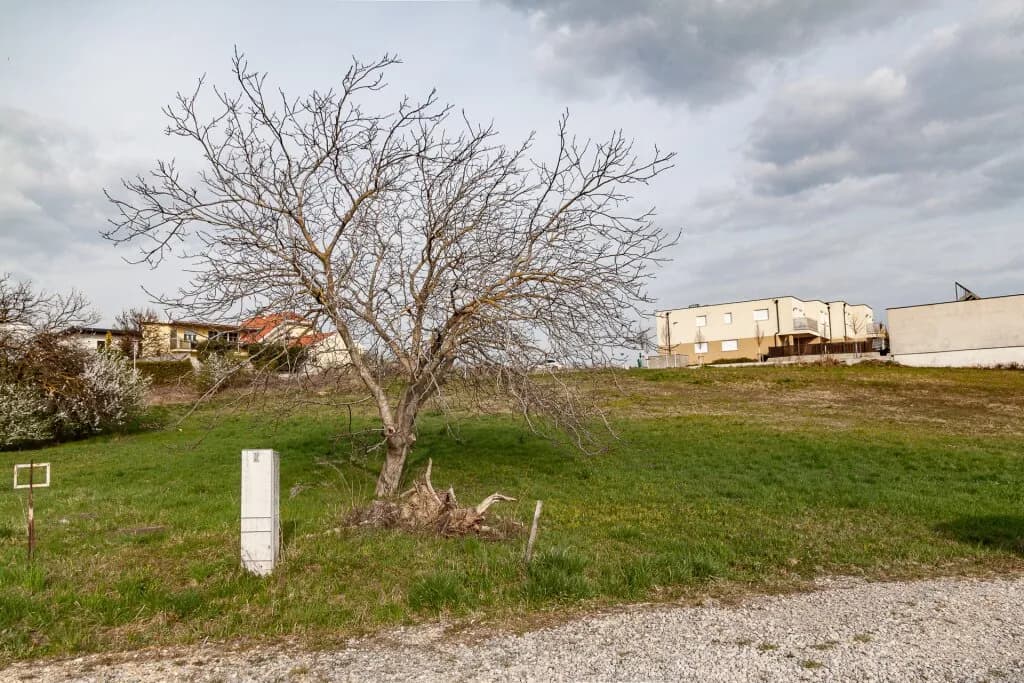 Grundstück kaufen in Neusiedl am See – 1 665 m², € 798.000 – Bild 3 von 7