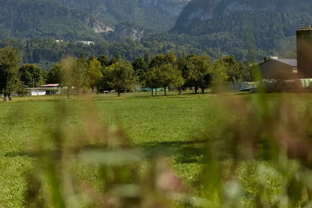 Grundstück kaufen in Feldkirch – 347 m², € 248.000 – Bild 3 von 3