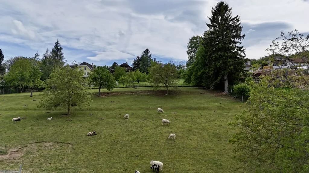 Grundstück kaufen in Neunkirchen – 1 001 m², € 135.000 – Bild 2 von 6