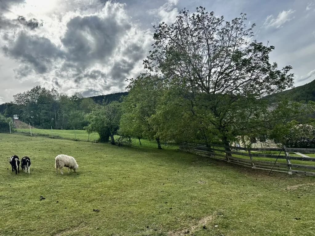 Grundstück kaufen in Neunkirchen – 1 001 m², € 135.000 – Bild 4 von 6