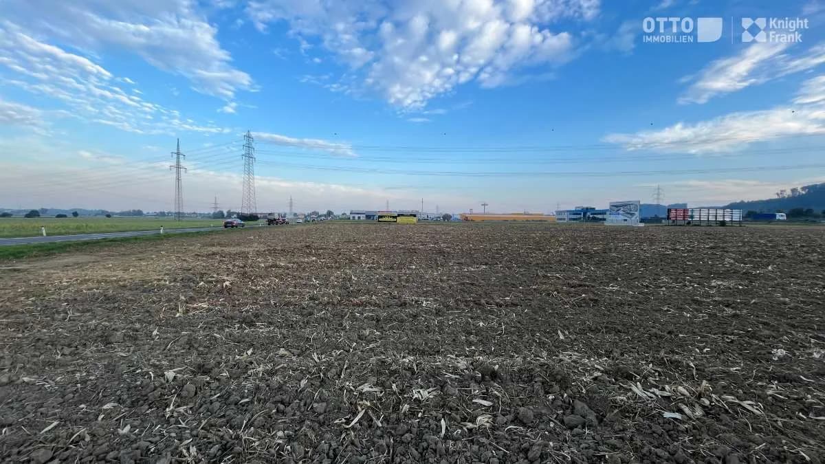 Gewerbeimmobilie mieten in Linz Land – 11 751 m² – Bild 6 von 11