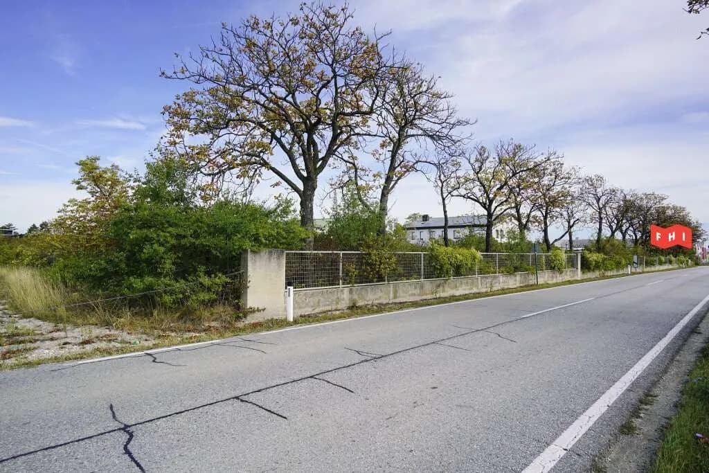 Immobilie mieten in Wiener Neustadt Land – 8 500 m², € 8.500 – Bild 8 von 12