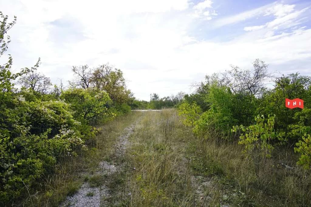 Immobilie mieten in Wiener Neustadt Land – 8 500 m², € 8.500 – Bild 9 von 12