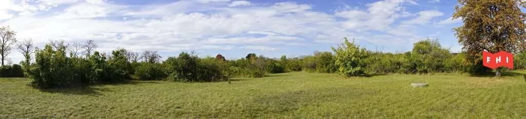 Immobilie mieten in Wiener Neustadt Land – 8 500 m², € 8.500 – Bild 12 von 12