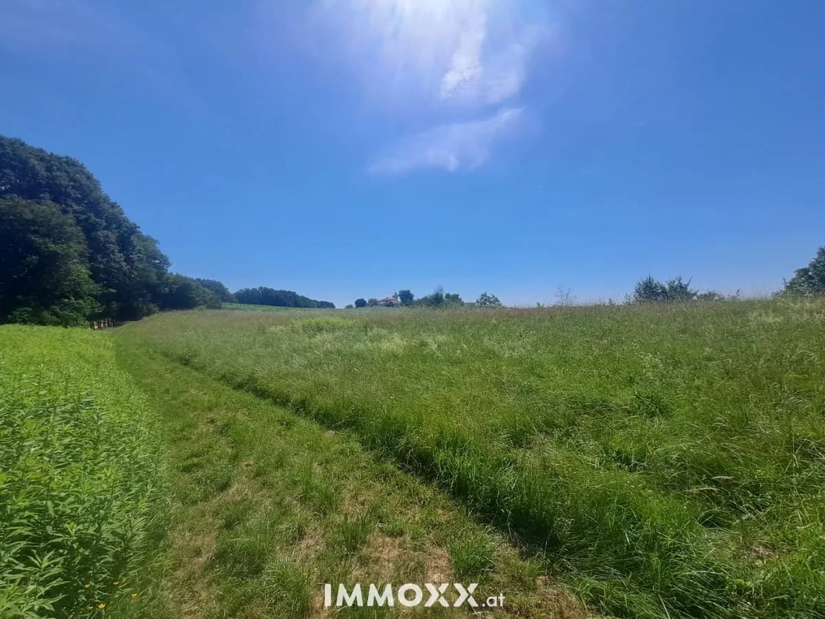 Grundstück kaufen in Jennersdorf – 11 100 m², € 85.000 – Bild 5 von 17