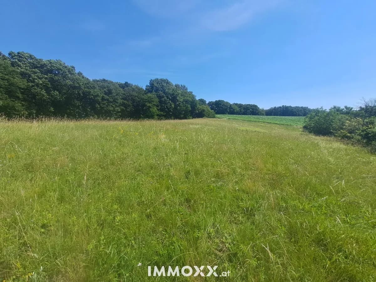 Grundstück kaufen in Jennersdorf – 11 100 m², € 85.000 – Bild 6 von 17