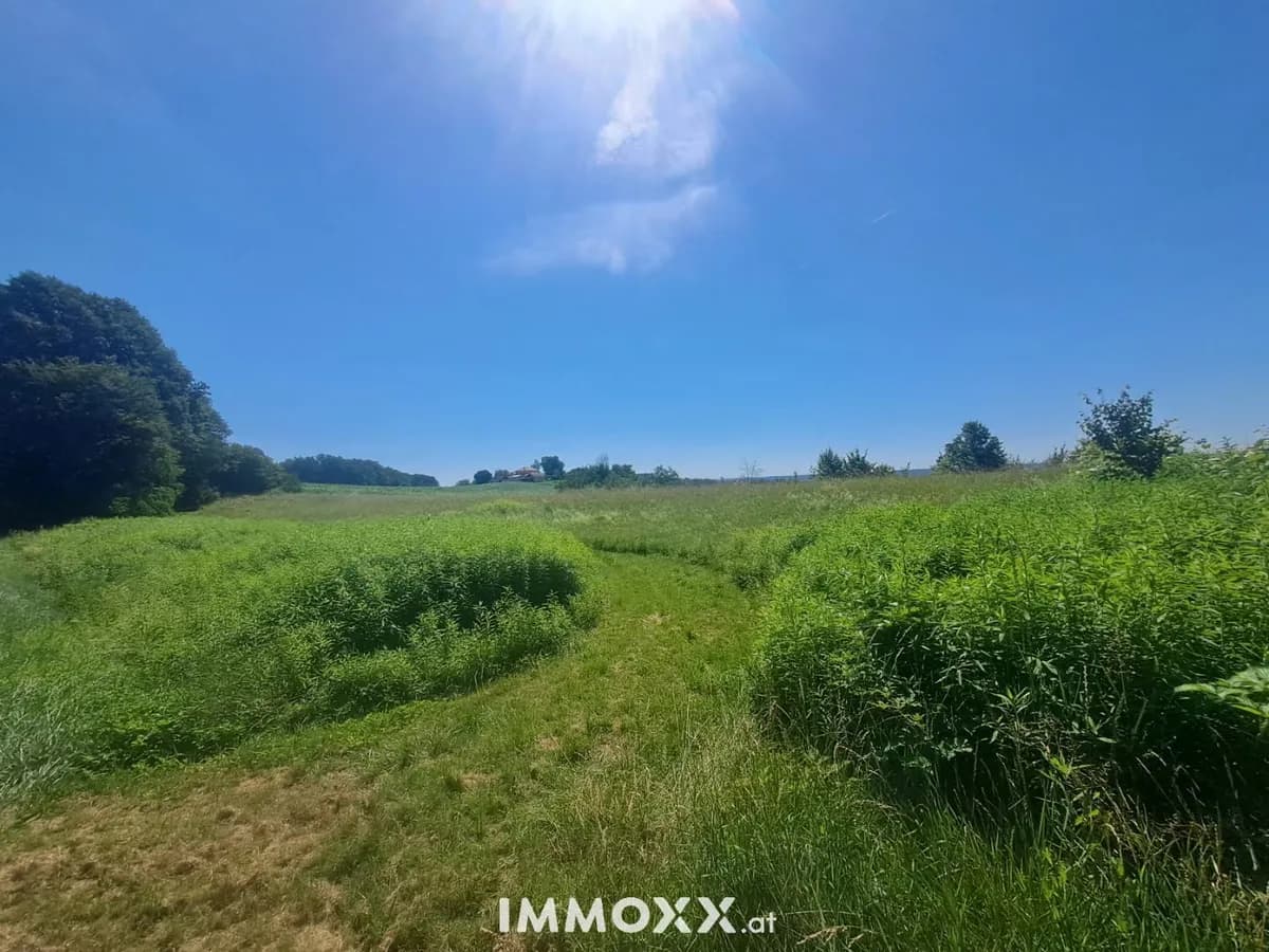 Grundstück kaufen in Jennersdorf – 11 100 m², € 85.000 – Bild 7 von 17