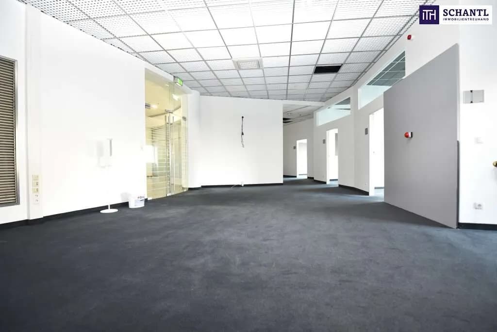Gewerbeimmobilie mieten in Graz – 246 m², € 3.515 – Bild 10 von 23