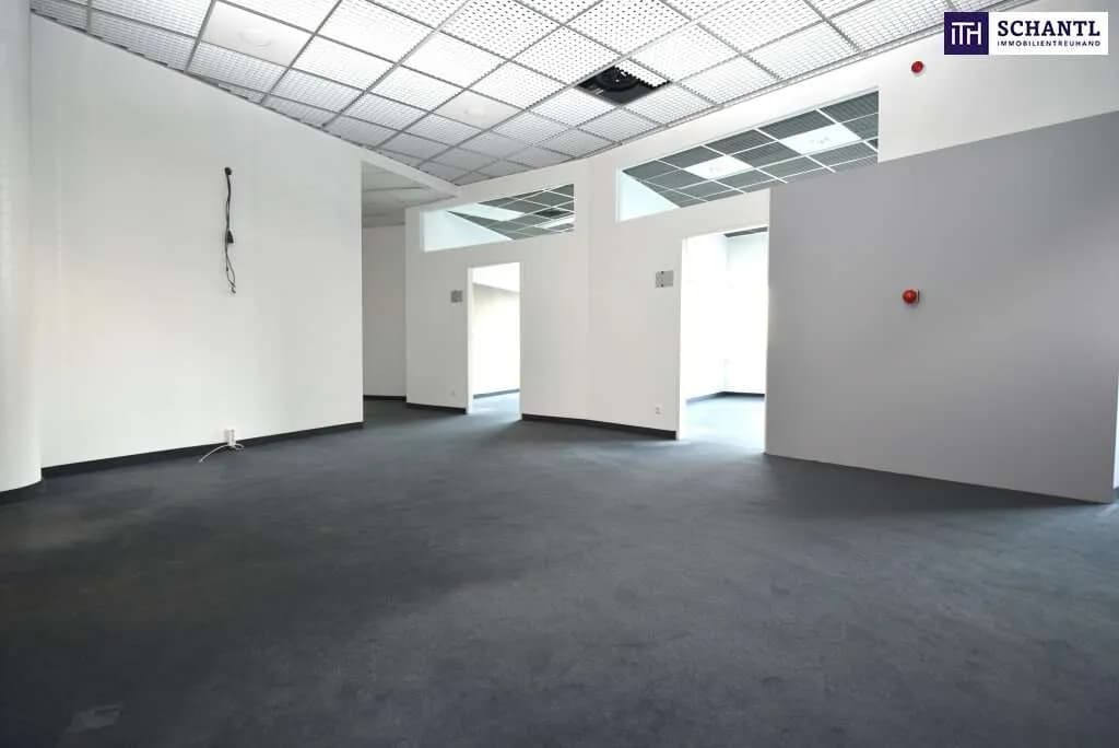 Gewerbeimmobilie mieten in Graz – 246 m², € 3.515 – Bild 13 von 23
