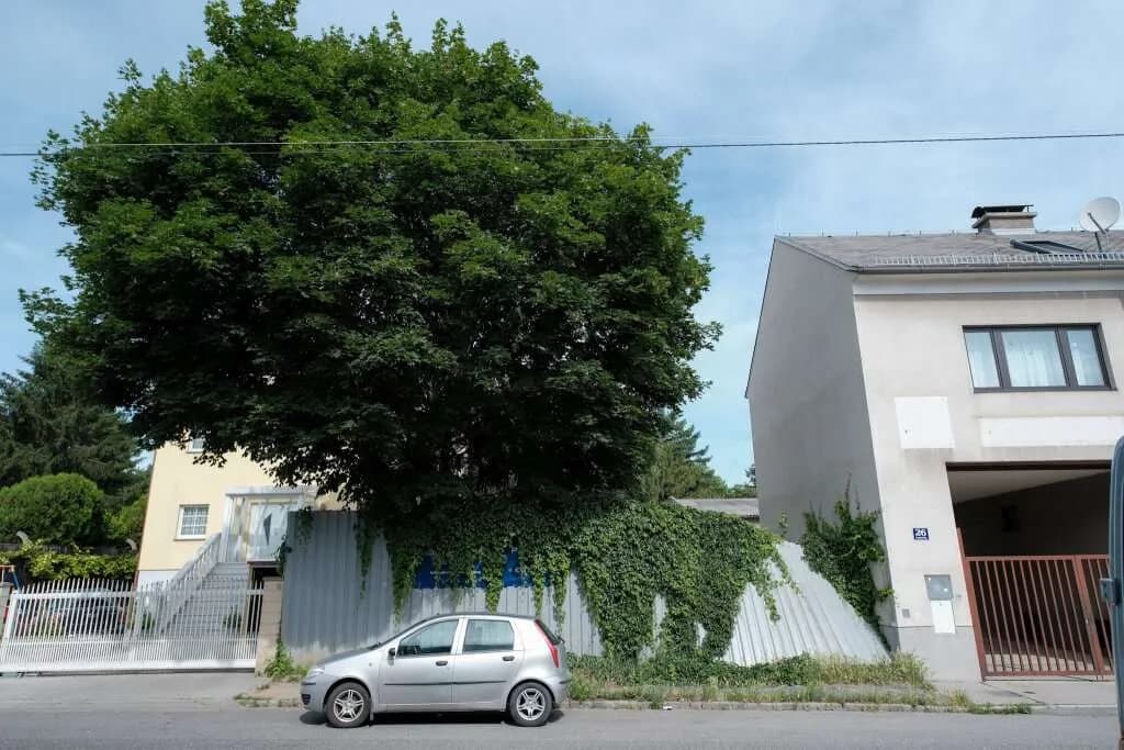 Immobilie kaufen in Wien – 751,43 m², € 890.000 – Bild 2 von 4