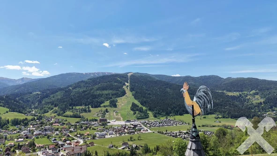 Immobilie kaufen in Murau – 100 087 m² – Bild 7 von 31