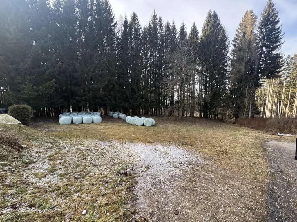 Grundstück kaufen in Wolfsberg – 1 119 m², € 49.000