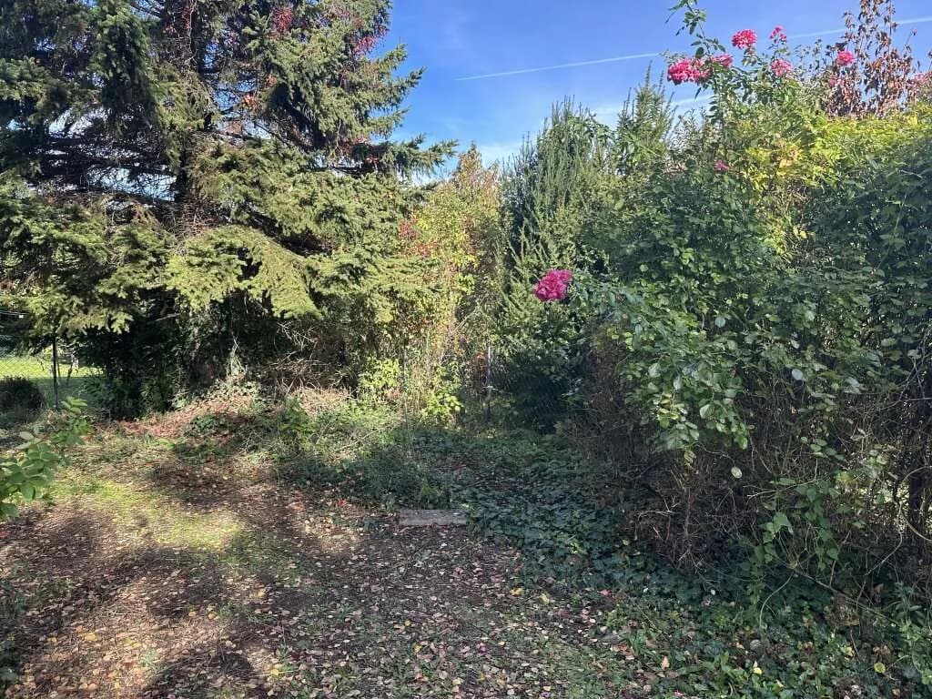 Haus kaufen in Mattersburg – 125 m², € 249.000 – Bild 3 von 14