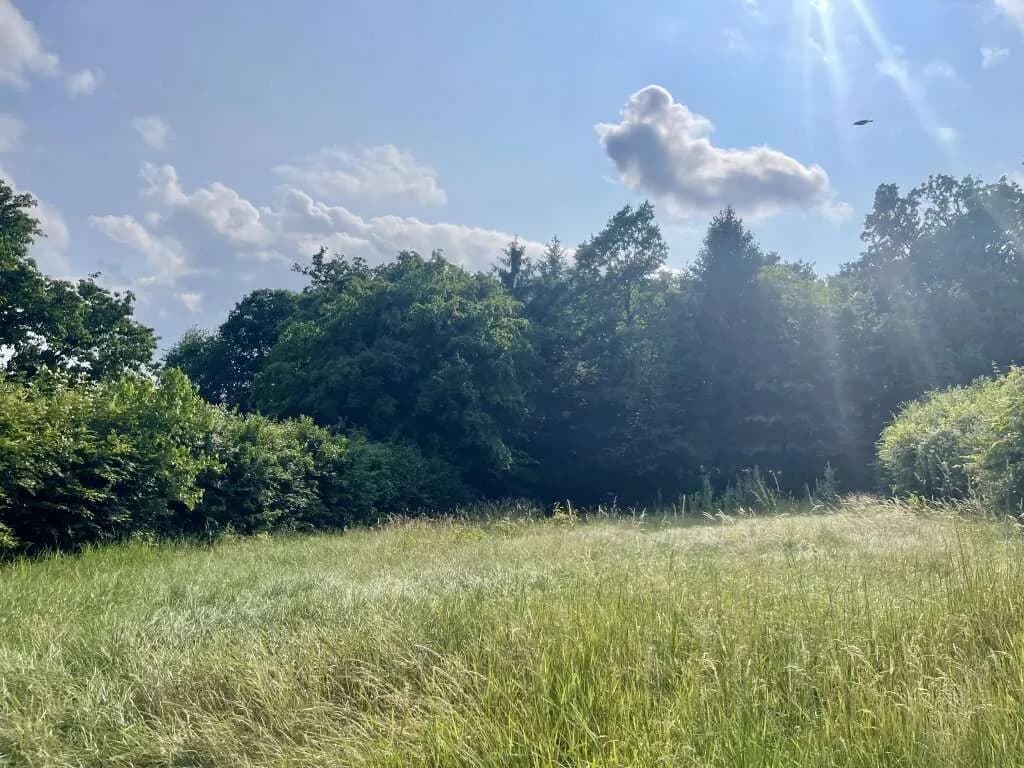 Grundstück kaufen in Oberwart – 1 329 m², € 115.000 – Bild 3 von 11