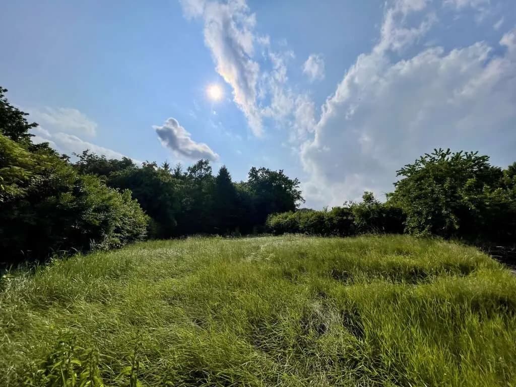 Grundstück kaufen in Oberwart – 1 329 m², € 115.000 – Bild 4 von 11