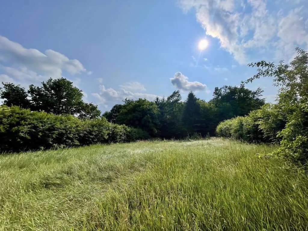 Grundstück kaufen in Oberwart – 1 329 m², € 115.000 – Bild 6 von 11