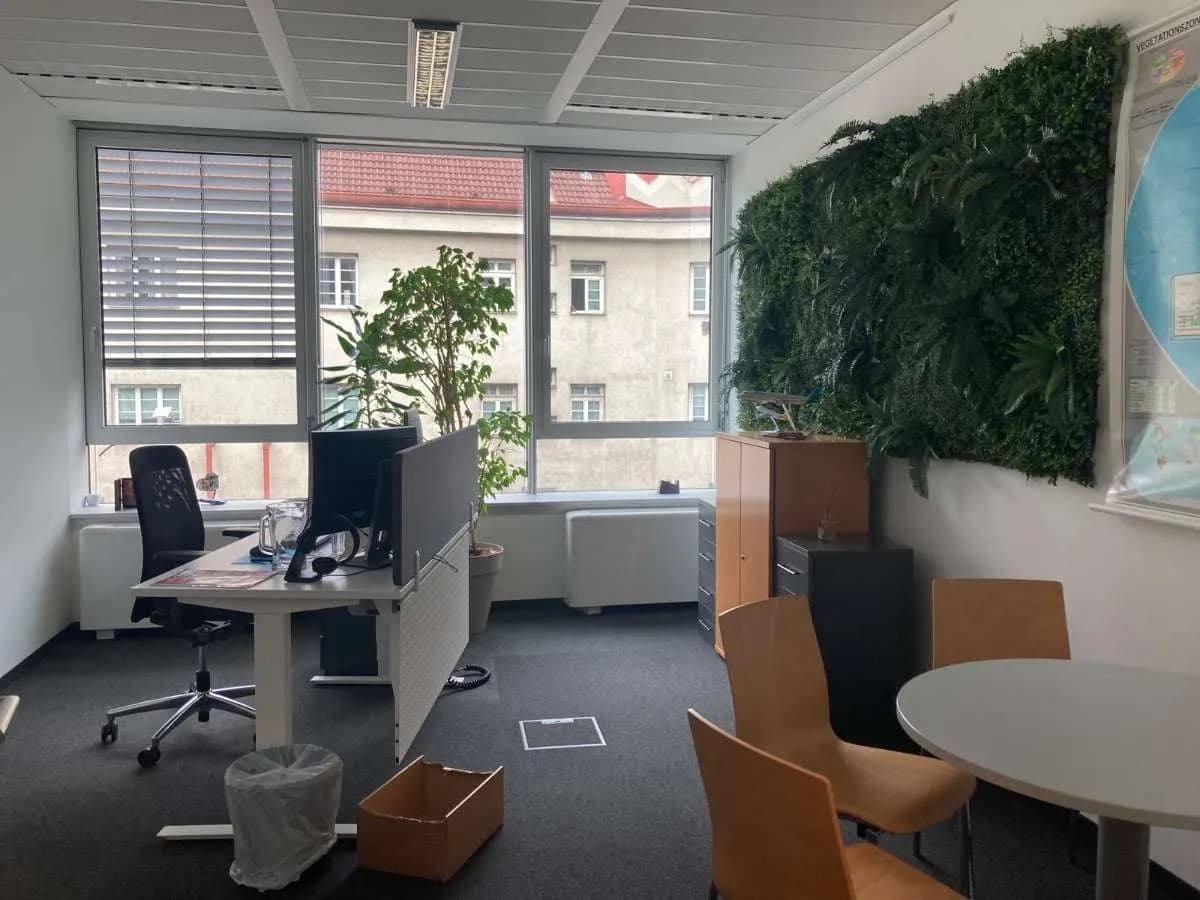Gewerbeimmobilie mieten in Wien – 260 m², € 17 – Bild 4 von 11
