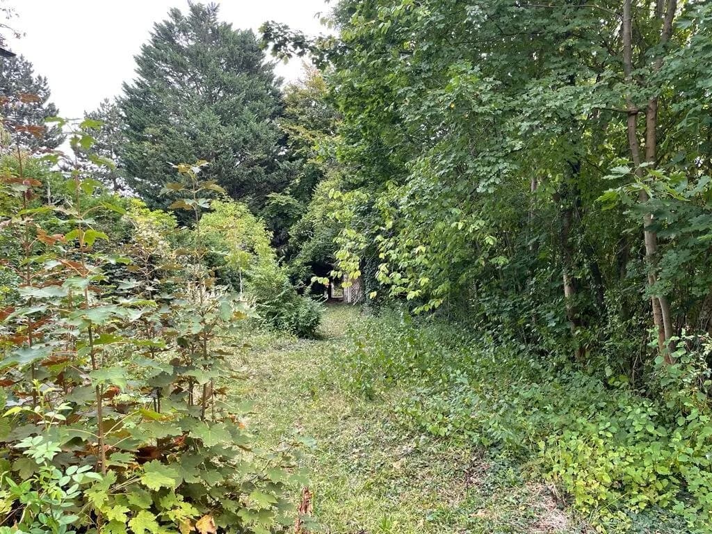 6-Zimmer-Haus kaufen in Wien – 250 m², € 2.300.000 – Bild 10 von 14