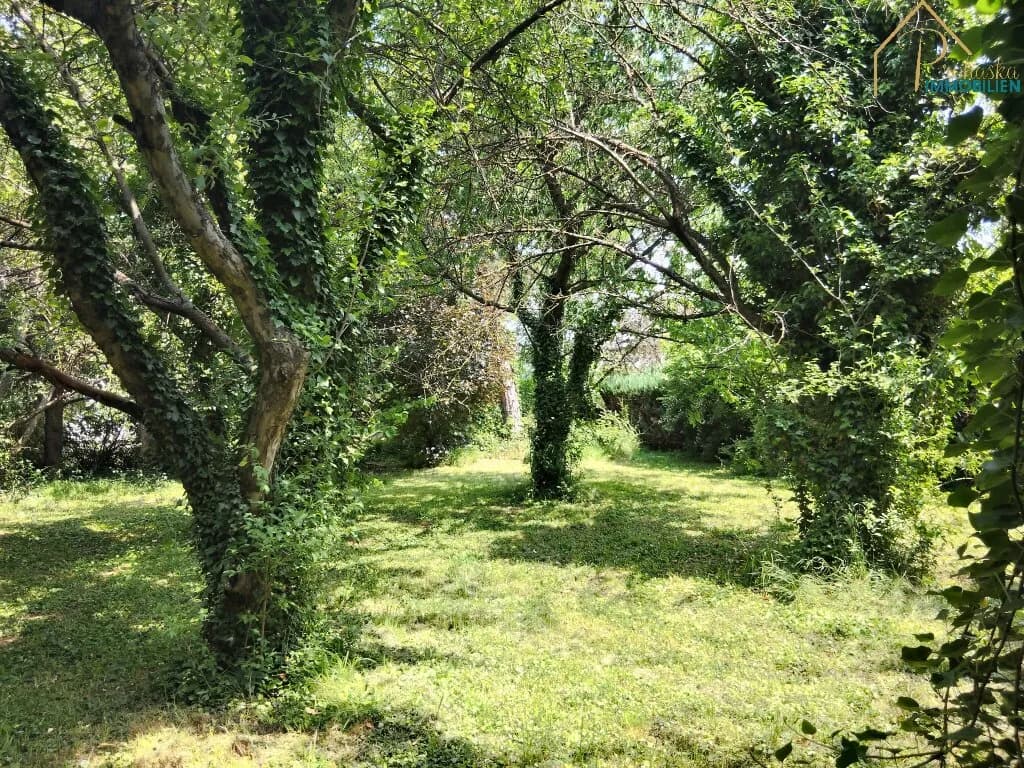 5-Zimmer-Haus kaufen in Oberpullendorf – 153 m², € 279.000 – Bild 5 von 7