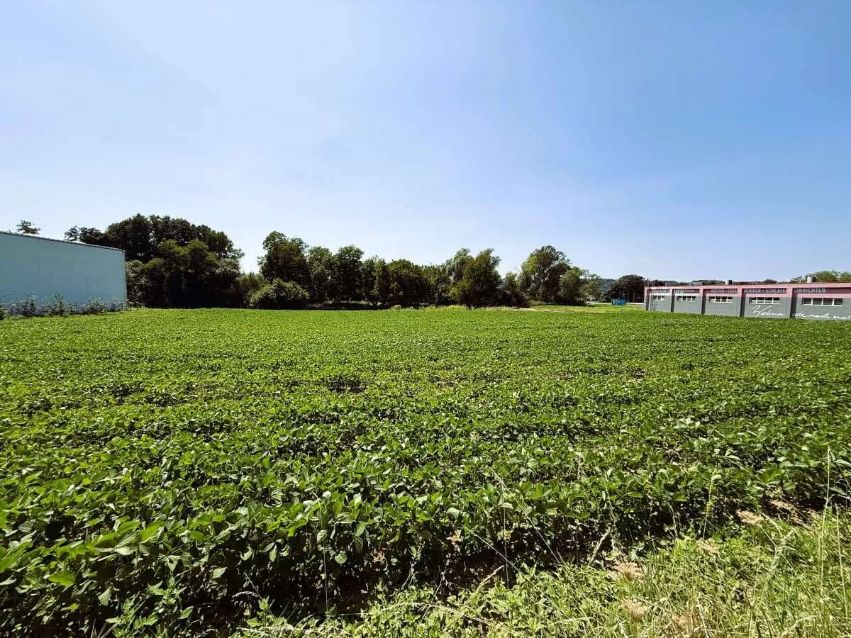 Immobilie kaufen in Oberwart – 5 045 m²