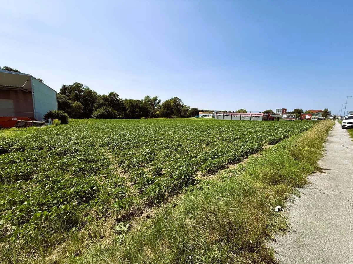 Immobilie kaufen in Oberwart – 5 045 m² – Bild 4 von 7