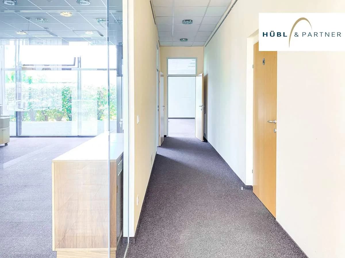 Gewerbeimmobilie mieten in Wien – 295 m², € 4.403 – Bild 12 von 25