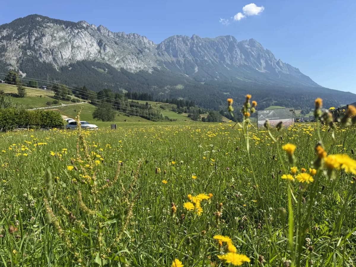 Grundstück kaufen in Liezen – 972 m², € 175.000 – Bild 1 von 6