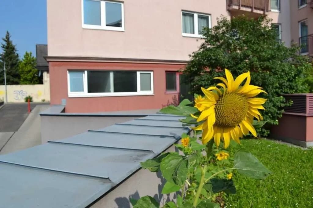 Gewerbeimmobilie mieten in Wien – 15 m², € 255 – Bild 3 von 5