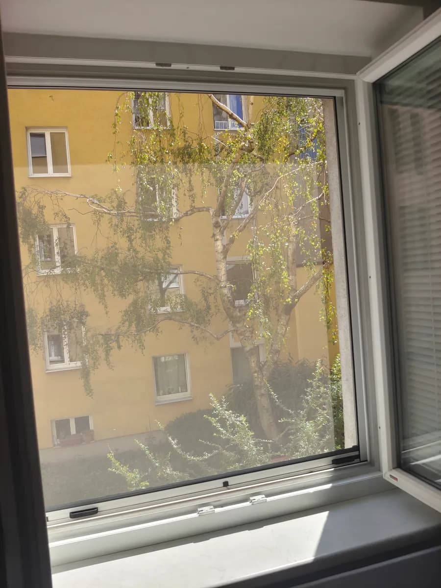 1-Zimmer-Wohnung mieten in Wien – 33 m², € 670 – Bild 15 von 16