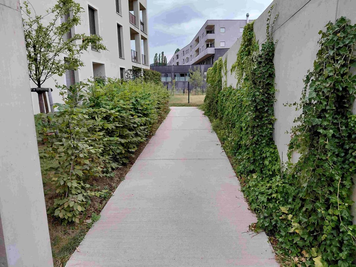 2-Zimmer-Wohnung mieten in Graz – 57,61 m², € 980