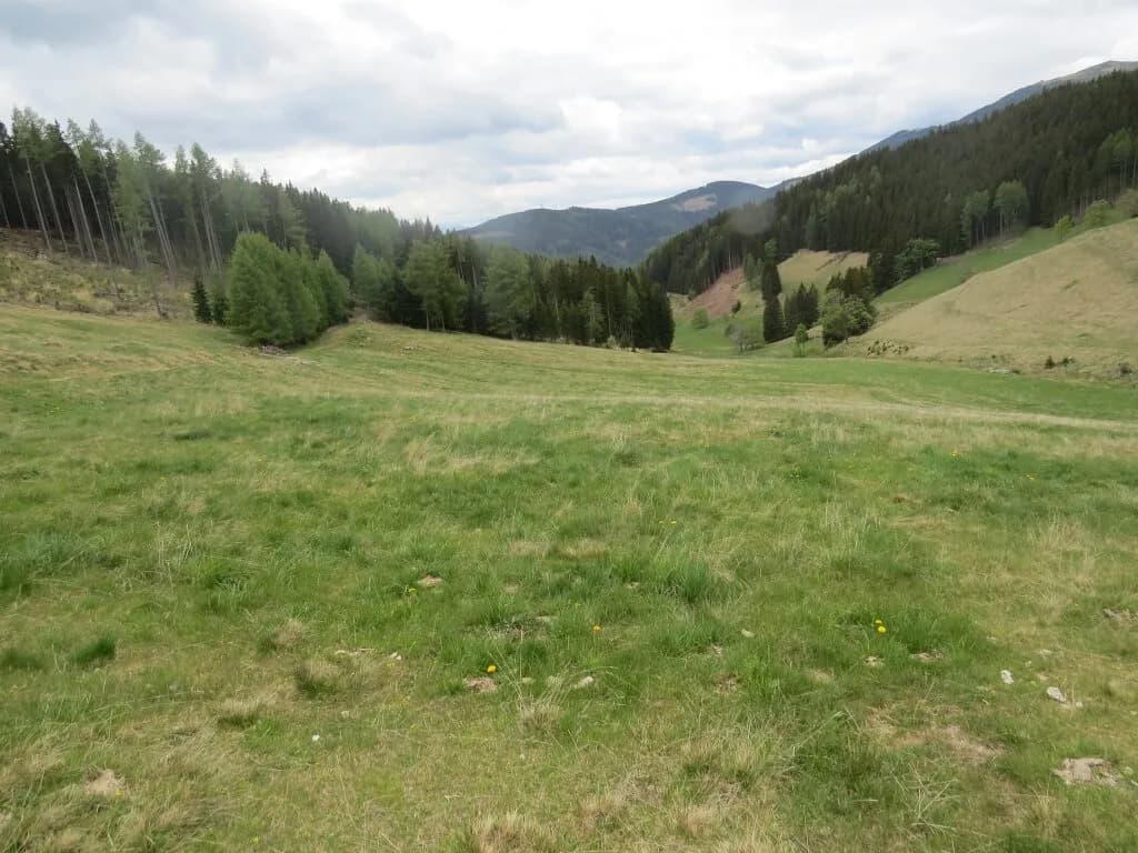 Immobilie kaufen in Murtal – 80 000 m² – Bild 4 von 7