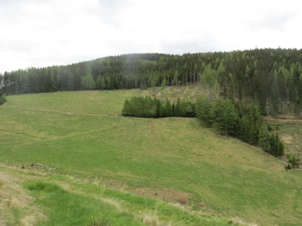 Immobilie kaufen in Murtal – 80 000 m² – Bild 6 von 7
