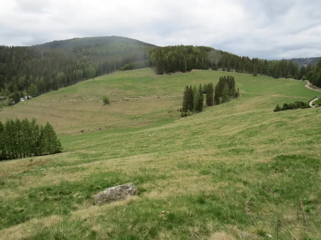 Immobilie kaufen in Murtal – 80 000 m² – Bild 7 von 7