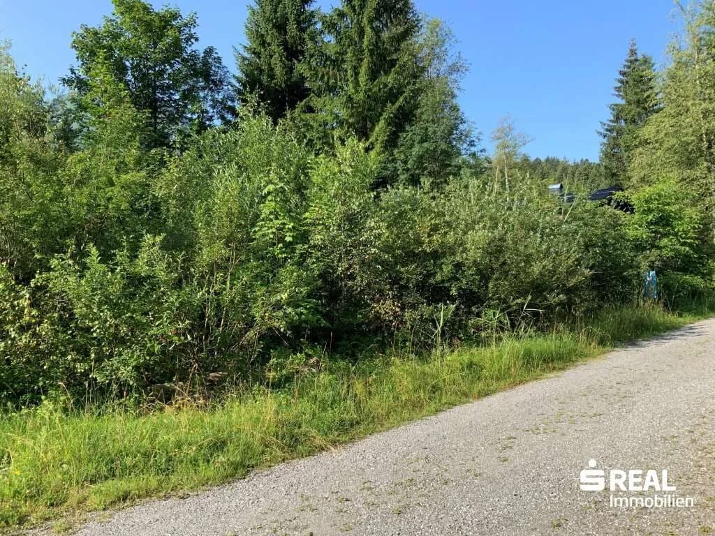 Grundstück kaufen in Bregenz – 566 m², € 299.000