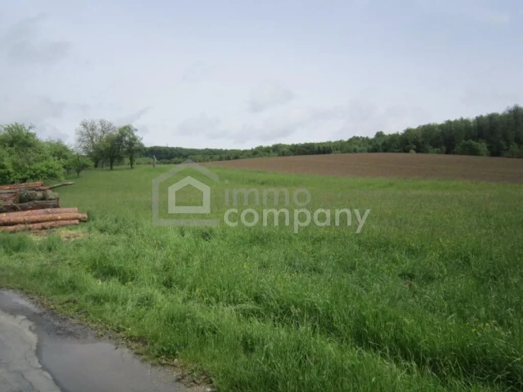 Grundstück kaufen in Güssing – 5 166 m² – Bild 2 von 3