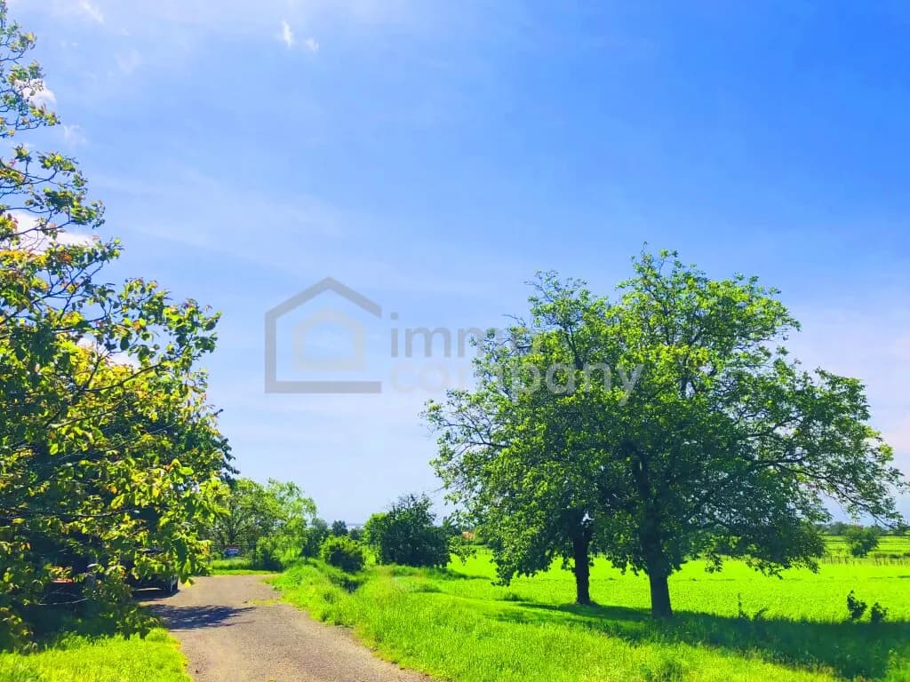 Grundstück kaufen in Eisenstadt - Umgebung – 2 278 m², € 580.000 – Bild 2 von 5