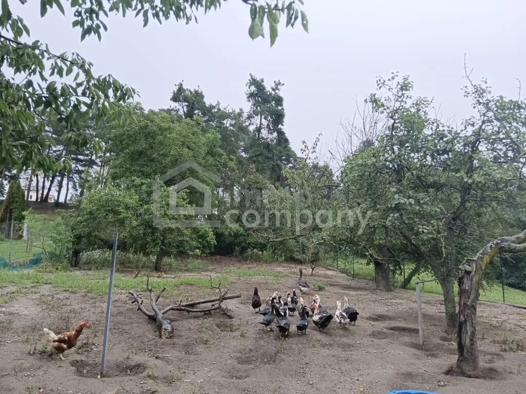 4-Zimmer-Haus kaufen in Oberpullendorf – 140 m², € 210.000 – Bild 3 von 11