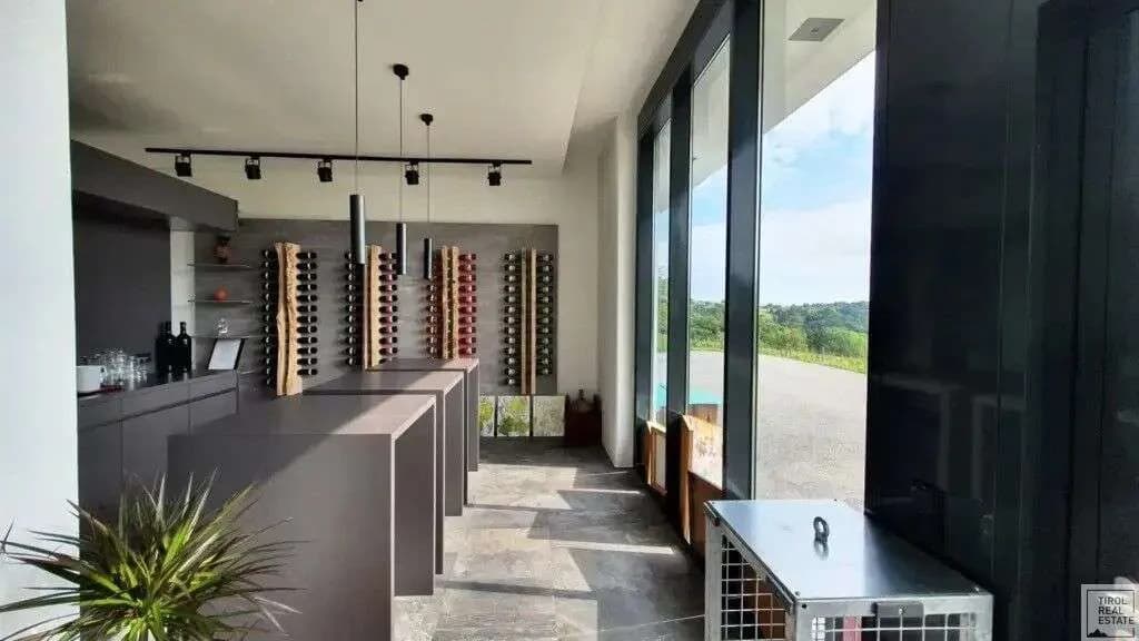10-Zimmer-Haus kaufen in Jennersdorf – 570 m², € 3.900.000 – Bild 6 von 19