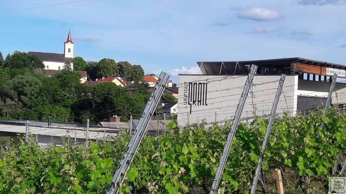 10-Zimmer-Haus kaufen in Jennersdorf – 570 m², € 3.900.000 – Bild 19 von 19