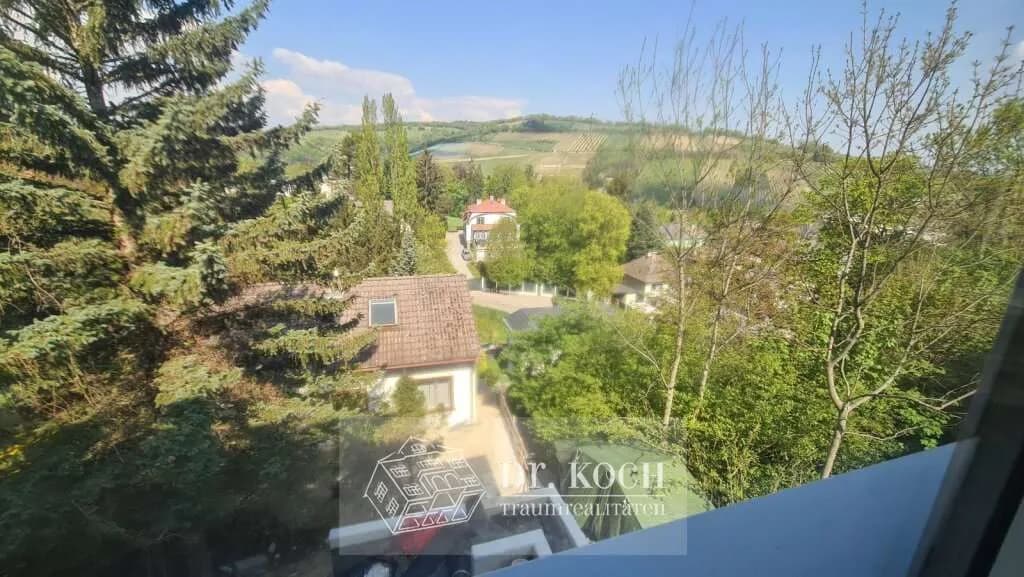 4-Zimmer-Haus mieten in Tulln – 125 m², € 3.200 – Bild 5 von 9