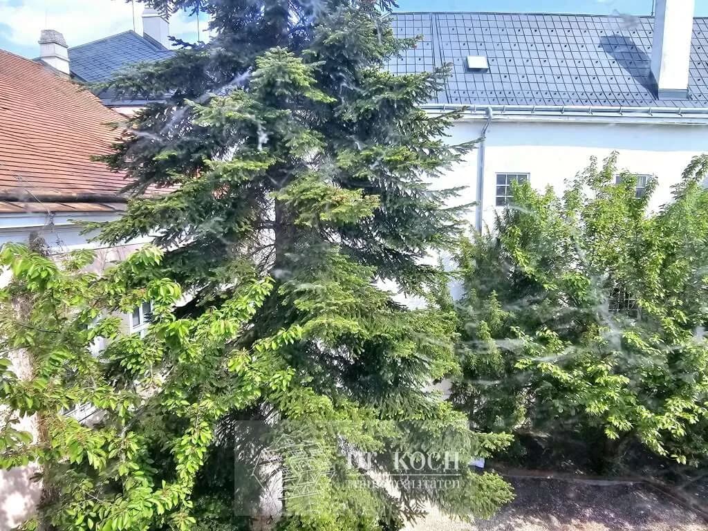 Wohnung kaufen in Korneuburg – 235 m², € 120.000 – Bild 5 von 8