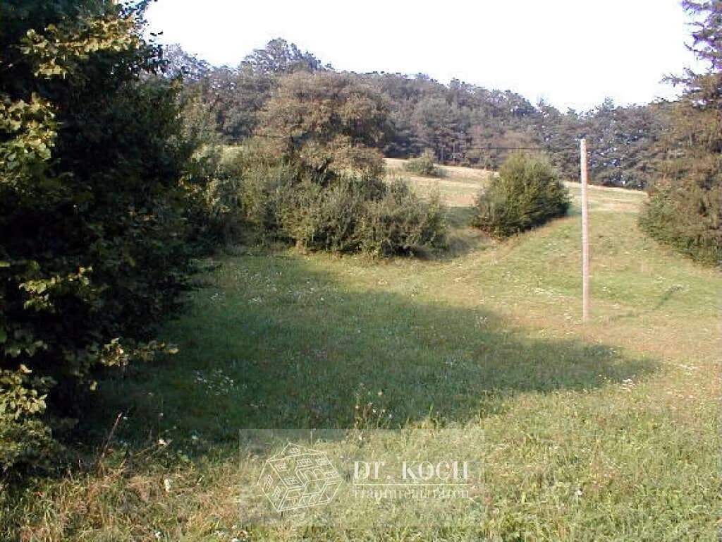 Grundstück kaufen in Sankt Pölten Land – 21 657 m², € 335.000