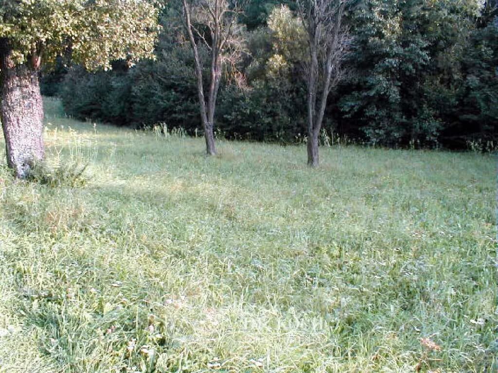 Grundstück kaufen in Sankt Pölten Land – 21 657 m², € 335.000 – Bild 2 von 6