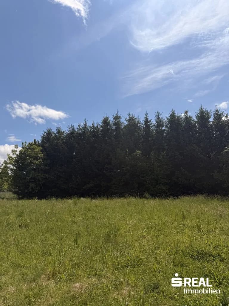 Grundstück kaufen in Perg – 542 m², € 115.000 – Bild 4 von 6