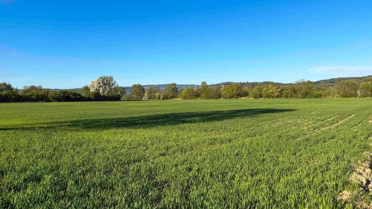 Grundstück kaufen in Linz Land – 39 407 m², € 1.290.000