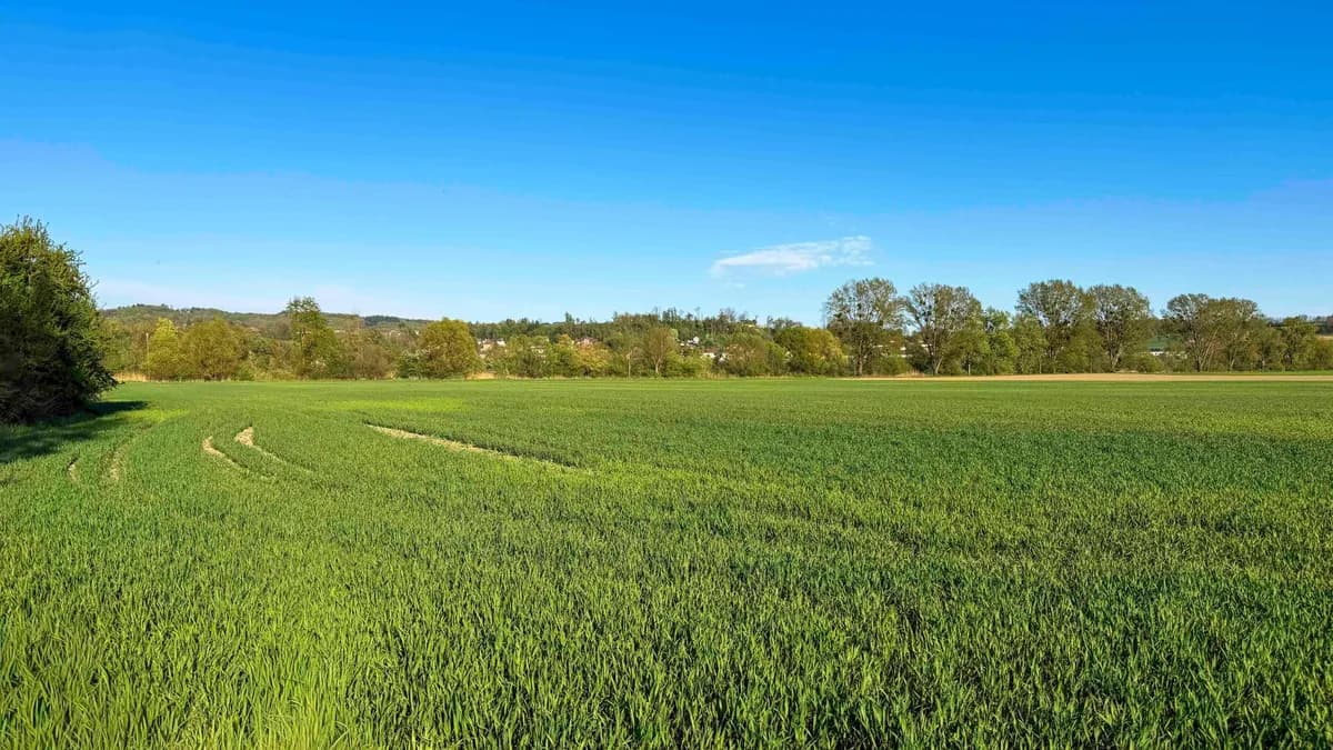 Grundstück kaufen in Linz Land – 39 407 m², € 1.290.000 – Bild 2 von 4
