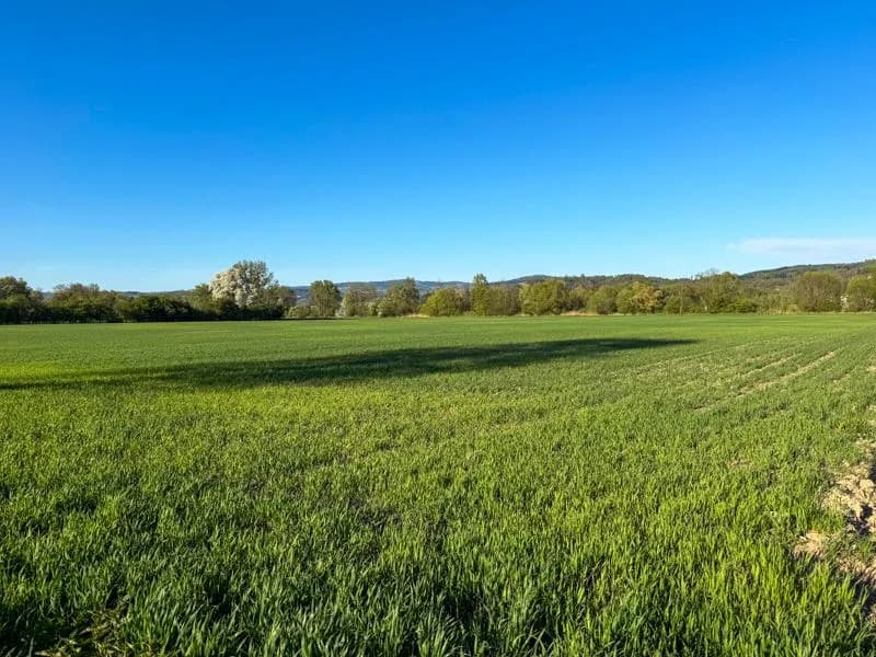 Grundstück kaufen in Linz Land – 39 407 m², € 1.290.000 – Bild 3 von 4