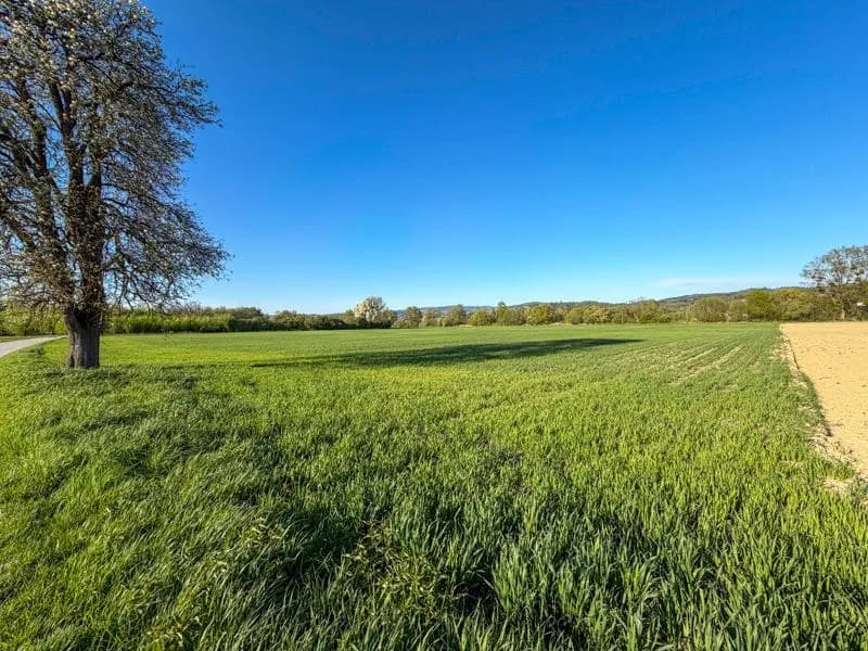 Grundstück kaufen in Linz Land – 39 407 m², € 1.290.000 – Bild 4 von 4