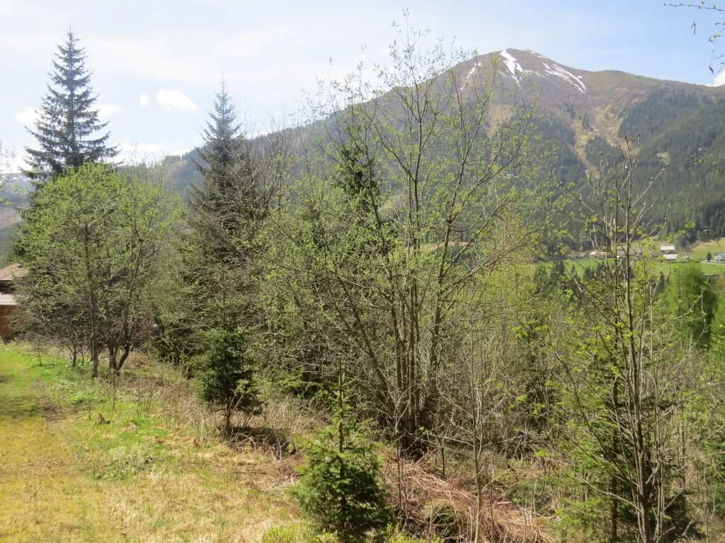 Immobilie kaufen in Murtal – 1 123 m² – Bild 1 von 6