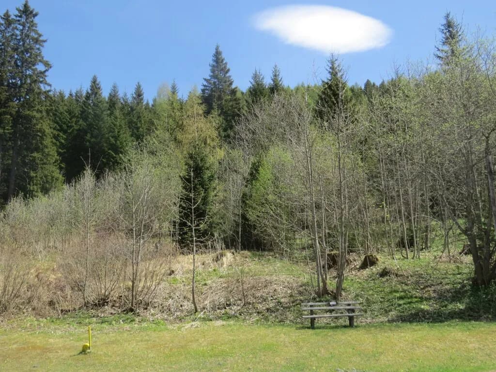 Immobilie kaufen in Murtal – 1 123 m² – Bild 2 von 6